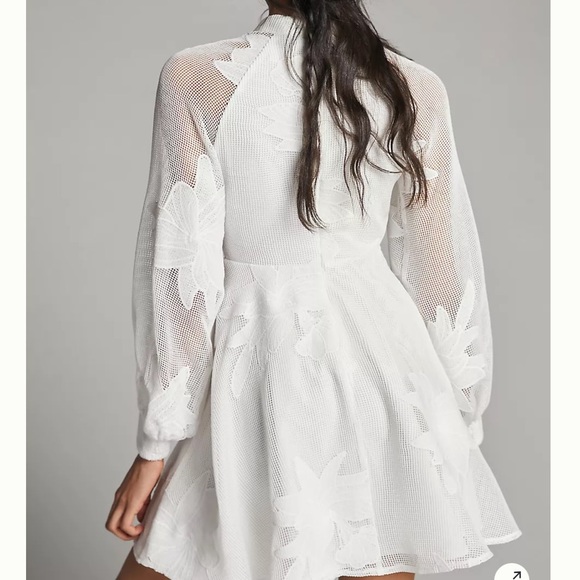 Anthropologie Sabine Embroidered Mini Dress - Picture 4 of 10